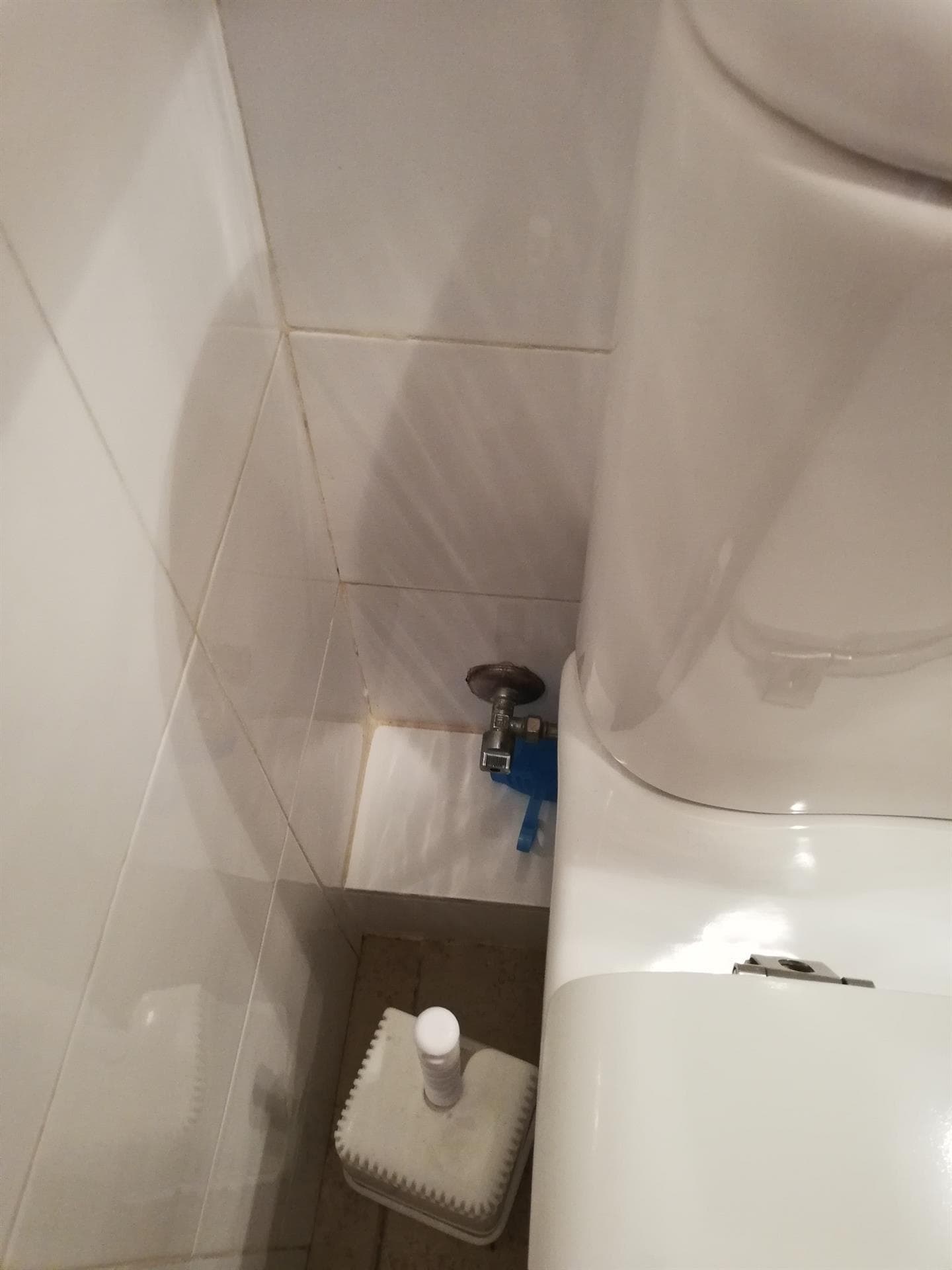 Echa un vistazo a nuestros trabajos